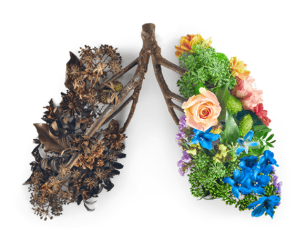 Quit Smoking_lungs image credit: nhs.uk